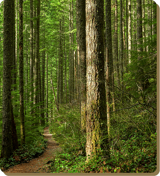 Home 18 svg+xml;charset=utf