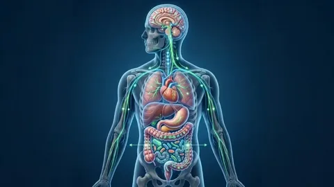 The Gut-Brain Connection: How Gut Health May Influence Mental Health